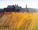 Waldviertler Landschaften - Gehöft im Kornfeld