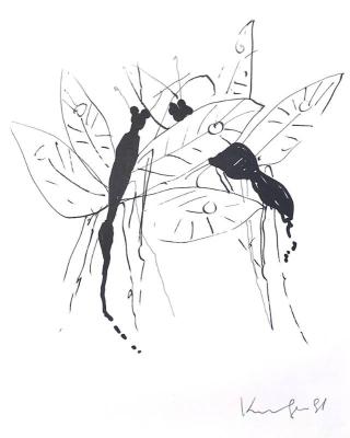 Insect dance